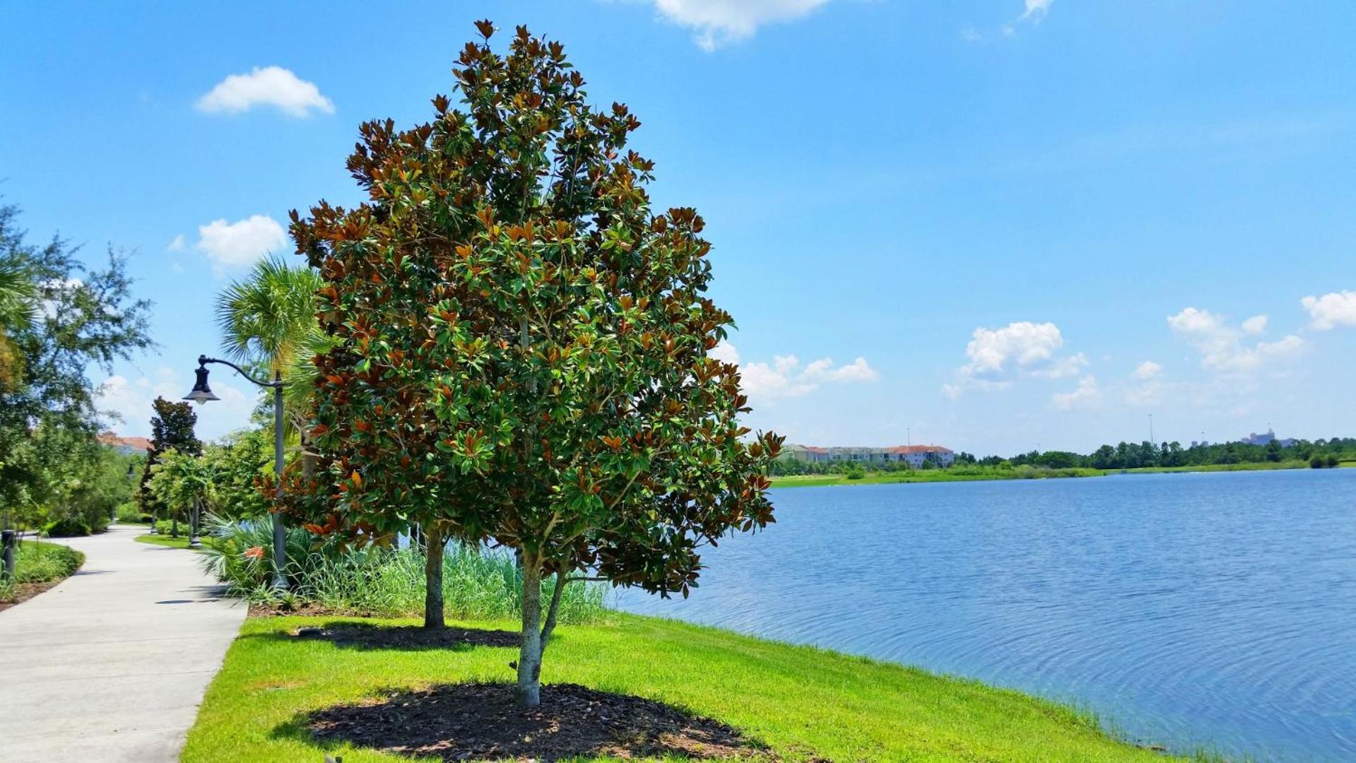 Resort Townhome: Perfect Orlando Vacation Spot Luaran gambar
